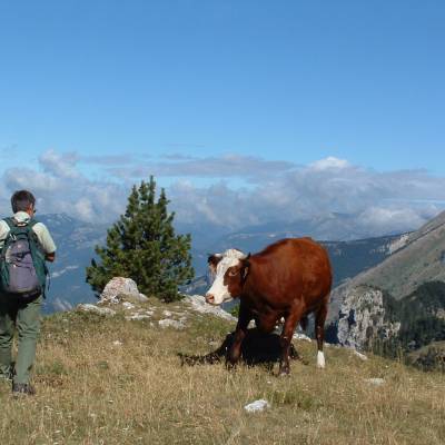 retrouvance walking in the Alps in the Buech Devoluy (3 of 23).jpg
